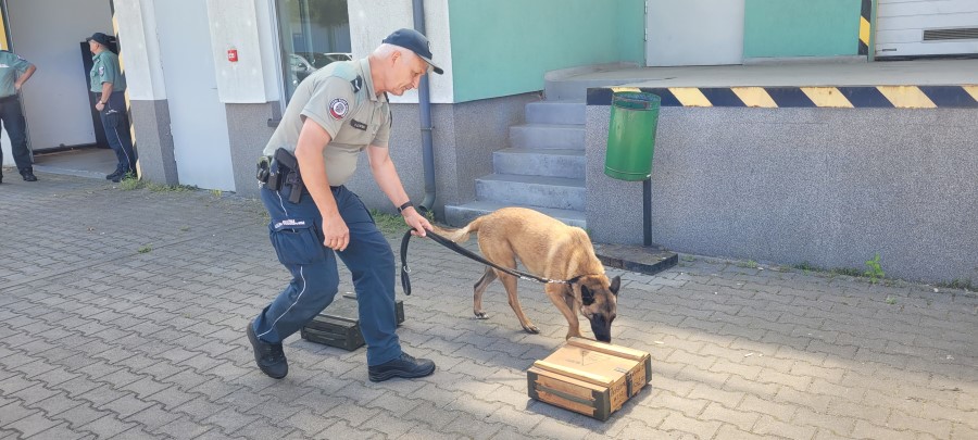 Wyjazd patronacki klasy 1e